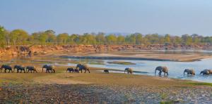 Sambia • Malawi • Mosambik • Südafrika - Entlang der Handelsroute