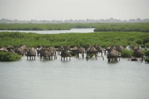 Senegal - Gambia