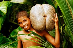 Seychellen - Im Garten Eden des Indik