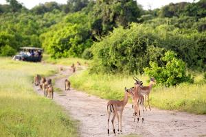 Simbabwe - Botswana - Afrikas Schätze vom Hausboot und auf Pirsch entdecken Simbabwe - Botswana - Afrikas Schätze vom Hausboot und auf Pirsch entdecken