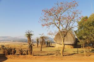 Südafrika - Mozambique - Swaziland