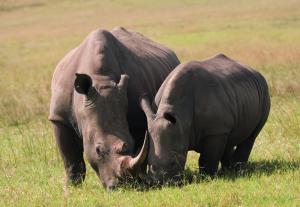 Südafrika: Die ausführliche Reise auf der Gardenroute Südafrika: Die ausführliche Reise auf der Gardenroute