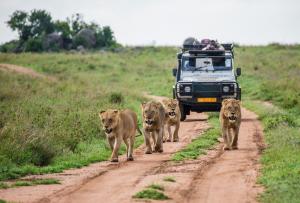 Südafrika: Entspannt erleben