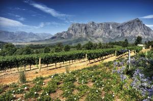 Südafrika: Gartenroute und Krüger Park