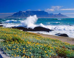 Südafrika: Höhepunkte auf der Gardenroute - Fair Trade Projekt Südafrika: Höhepunkte auf der Gardenroute - Fair Trade Projekt