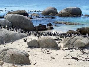 Südafrika • Namibia • Botswana • Simbabwe - Von Kapstadt zu den Victoriafällen als Campingsafari Südafrika • Namibia • Botswana • Simbabwe - Von Kapstadt zu den Victoriafällen als Campingsafari