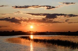 Südafrika • Simbabwe • Botswana - Entdeckungen im Safariparadies