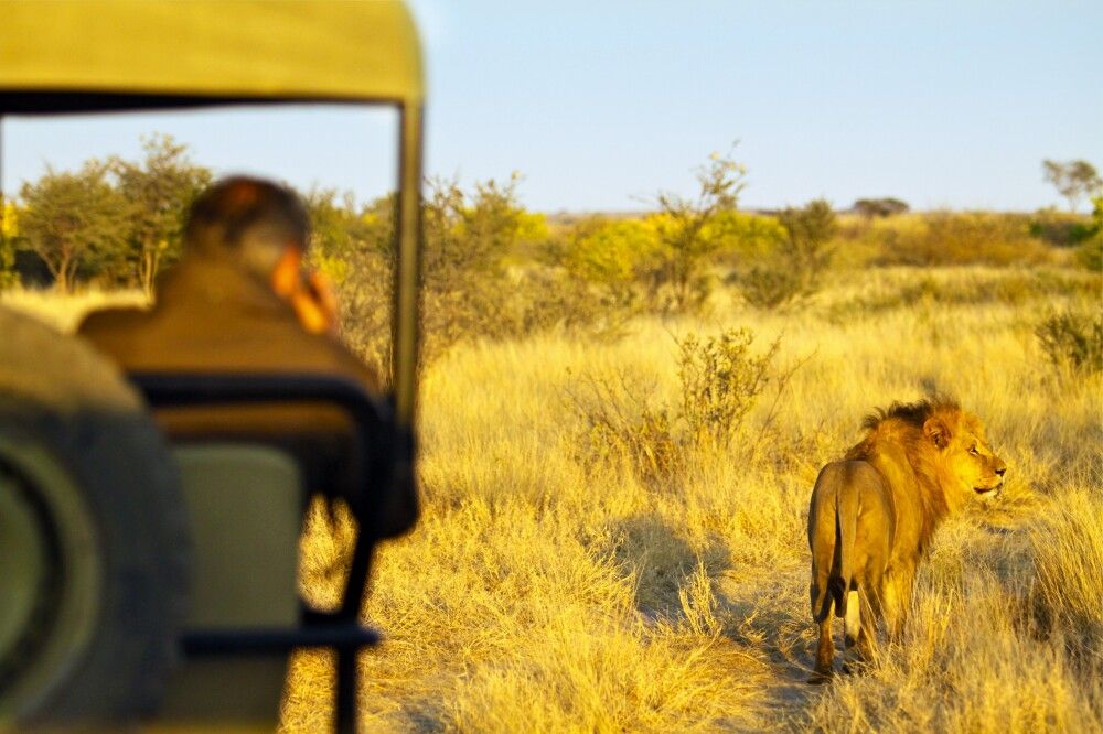 Südafrika • Simbabwe • Botswana - Entdeckungen im Safariparadies als Campingsafari