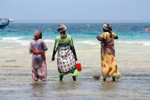 Tansania & Sansibar : Höhepunkte mit  Usambara-Bergen