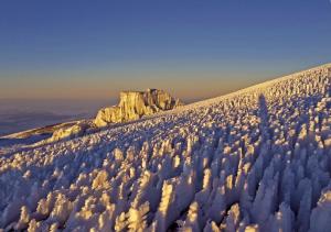 Tansania - Kilimanjaro – das Dach Afrikas via Machame-Route