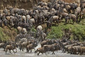 Tansania - Serengeti-Fotocampus zur großen Migration