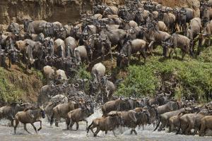 Tansania - Serengeti-Fotocampus zur großen Migration Tansania - Serengeti-Fotocampus zur großen Migration