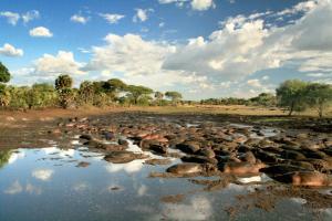 Tansania - Unentdecktes Land – Vom Kilimanjaro zum Tanganyika-See