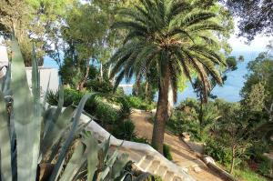 Tunesien - Impressionen zwischen Mittelmeer und Sahara Tunesien - Impressionen zwischen Mittelmeer und Sahara