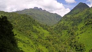 Uganda - Aktiv im Land der Silberrücken