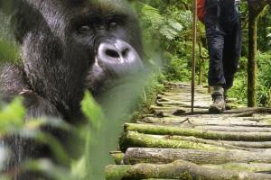 Uganda - Ruanda - Auf Entdeckungsreise entlang der Großen Seen Uganda - Ruanda - Auf Entdeckungsreise entlang der Großen Seen
