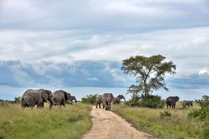 Uganda - Ruanda - Zwischen Safariparadies und Virungabergen Uganda - Ruanda - Zwischen Safariparadies und Virungabergen